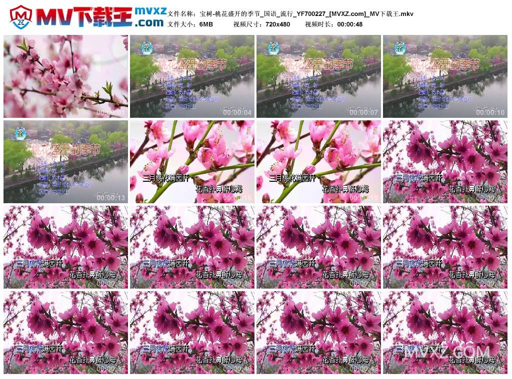 宝树-桃花盛开的季节_国语_流行_YF700227